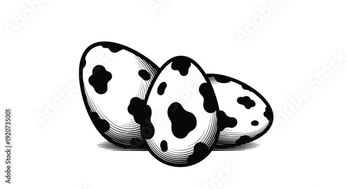 Three spotted eggs rest together on a plain white surface.