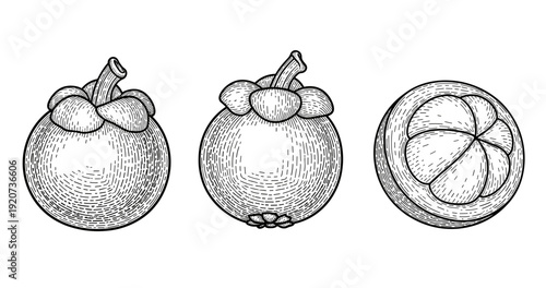 Detailed black and white sketch of whole and halved mangosteen fruits