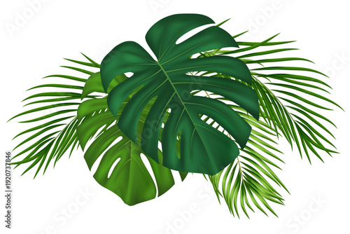 Green palm tropical leaves isolated on white background. Exotic coconut tree branches and monstera foliage perfect for Hawaiian beach theme decoration and party invitations. Vector illustration