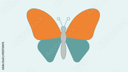 Simple illustration of a butterfly with orange and teal wings