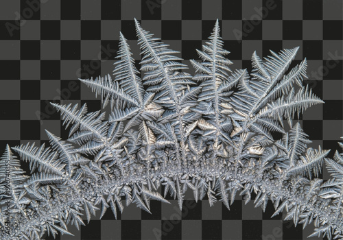 Detailed frosty fern-like ice crystals forming intricate patterns on a dark background