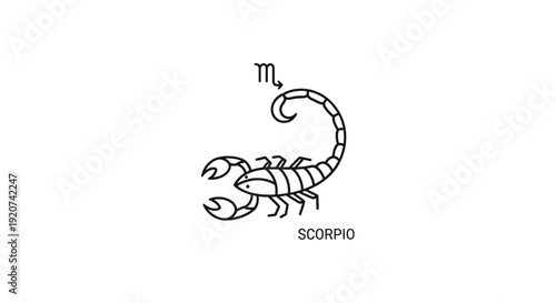 Scorpio Zodiac Astrological Sign Line Art Illustration on Isolated White Background