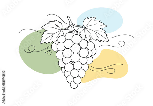 A minimalist illustration depicts a bunch of grapes with swirling lines and abstract color shapes