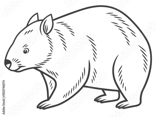 Cute wombat walking forward with curious expression