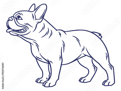 Stylish French Bulldog illustration for pet lovers