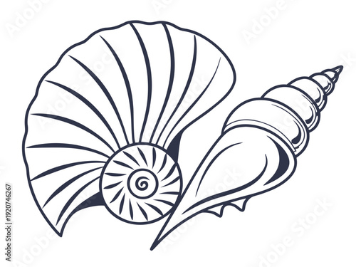 Elegant nautilus shell with spiral design and delicate lines