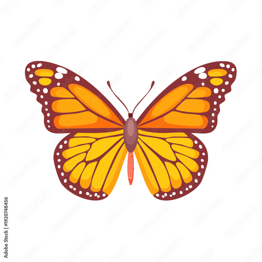 Obraz premium A vibrant butterfly, showcasing its elegant wings