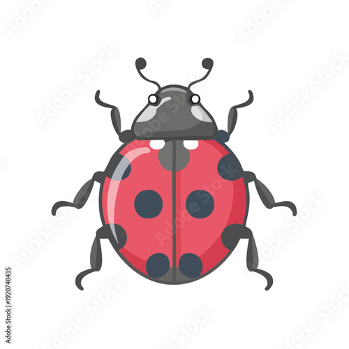 A vibrant illustration of a ladybug against a clean backdrop. The ladybug has a glossy red shell dotted with black spots, showcasing its iconic appearance