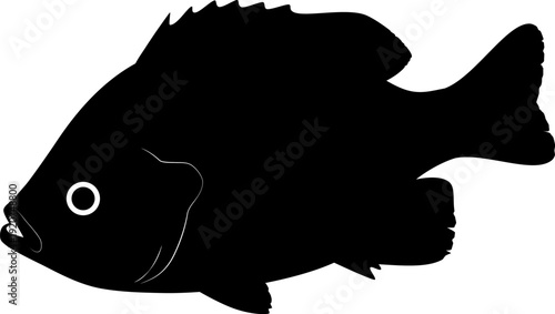 ブルーギル