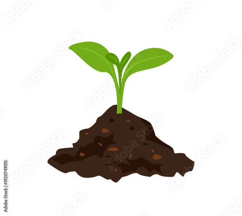Young plant seedling in soil, isolated on white background. Vector cartoon flat illustration. Gardening icon.