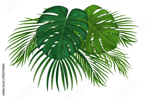 Realistic tropical foliage with monstera leaves and coconut fronds. Vibrant exotic jungle greenery creates paradise atmosphere for summer holiday designs, botanical spa decor. Vector illustration