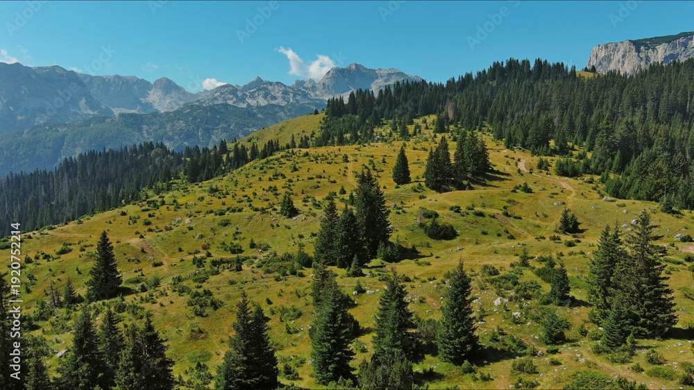 Fototapeta premium Aerial view on mountains in park Durmitor