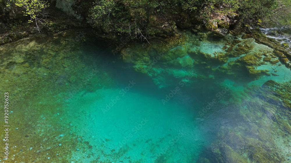 Obraz premium Turquoise spring water surrounded by lush green forest