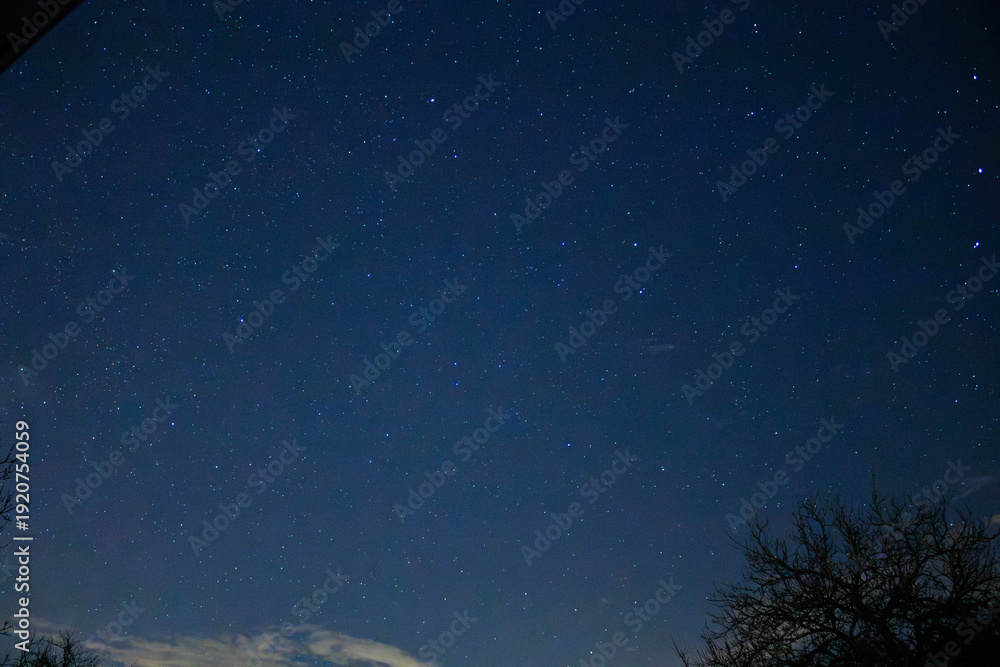 Fototapeta premium night sky with stars