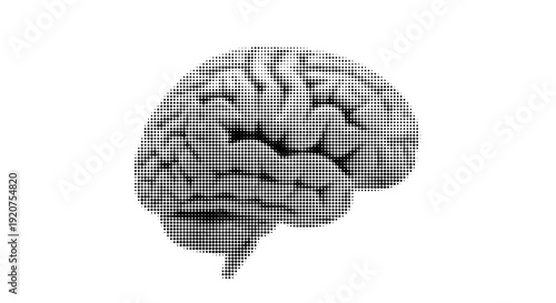 Brain Anatomy in Monochrome: A detailed monochrome depiction of the human brain, showcasing its intricate folds and structures, inviting contemplation on the essence of thought and cognition.