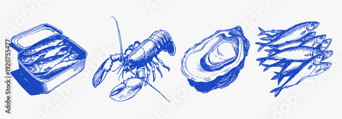 Mediterranean seafood fish lobster oyster sardine vintage. Hand drawn blue sketch line food illustrations for menu or packaging.