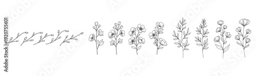Delicate hand-drawn botanical illustrations of various floral sprigs and stems