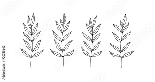 Hand-drawn minimalist wheat stalks on white background