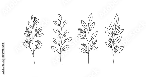Minimalist botanical line art with four leafy stems