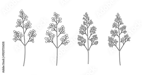 Minimalist botanical line art of four decorative branches