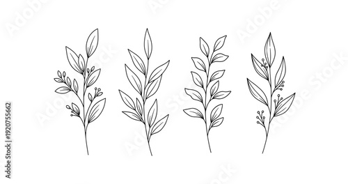 Black and white botanical line art of various leafy branches in minimalist style