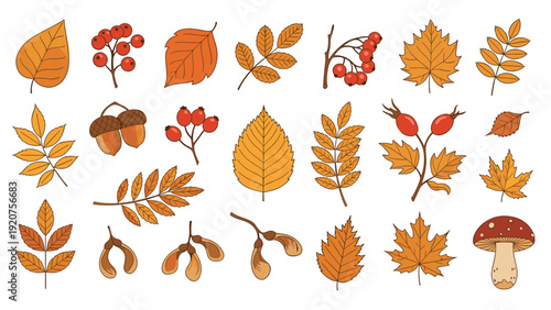 Set of diverse autumn elements including colorful fallen leaves, red berries, brown acorns, and a forest mushroom.