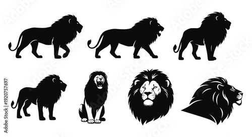 Lion Silhouette Vector Collection