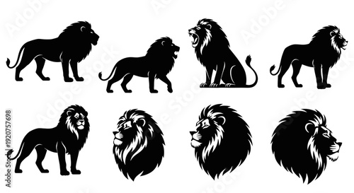 Lion Silhouette Vector Collection