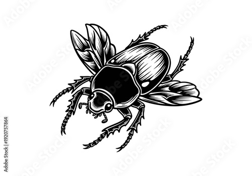 Detailed black and white illustration of a flying beetle.