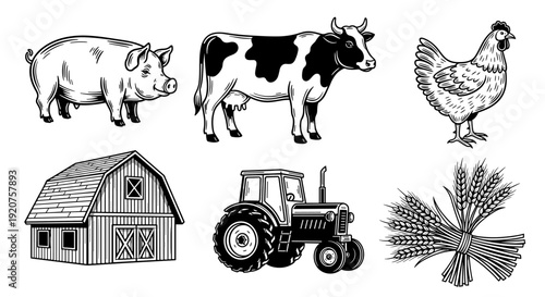 Farm animals and agriculture elements in vintage engraving style.