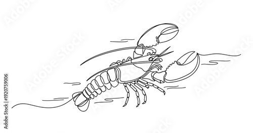Line art lobster illustration with detailed outline design. No editable strokes