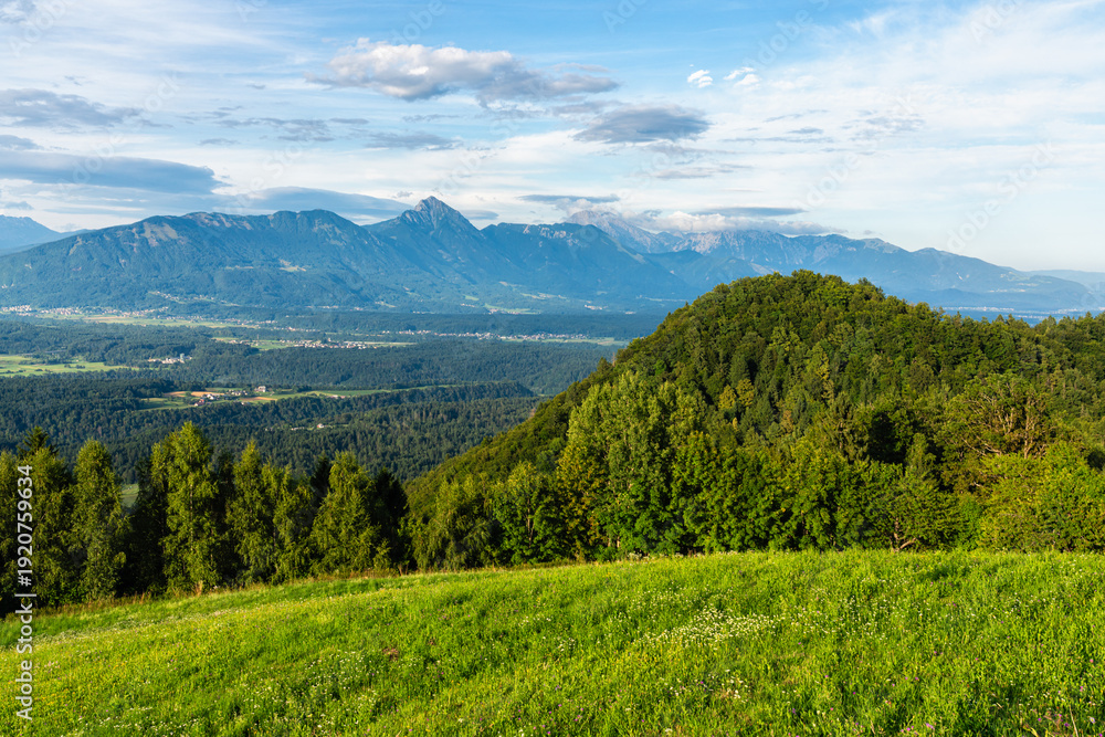 Obraz premium Idyllic summer afternoon view near the Saint Thomas Church, near Skofia Loka, in Slovenia.