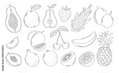 Vintage fruit collection hand drawn botanical artwork. Mixed fresh fruits outline drawing.