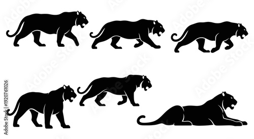 Tiger Silhouette Vector Collection