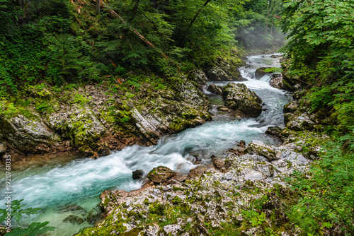 Scenic sight in the famous Vintgar Gorge, in Triglav National Park. Slovenia.
