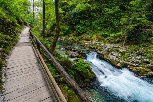 Scenic sight in the famous Vintgar Gorge, in Triglav National Park. Slovenia.