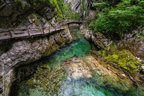 Scenic sight in the famous Vintgar Gorge, in Triglav National Park. Slovenia.