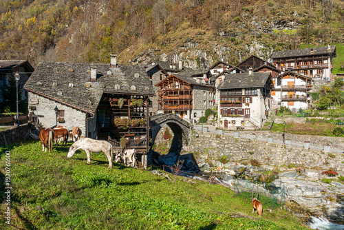 The beautiful village of Rassa, during fall season, in Valsesia (Sesia Valley). Province of Vercelli, Piedmont, Italy.