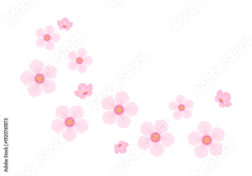 Falling pink Sakura flowers isolated on white background. Beautiful cherry blossom. Vector cartoon flat illustration. Spring design