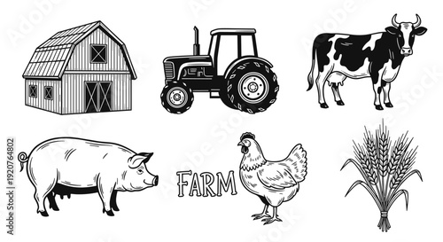 Collection of Farm Animals and Equipment Illustrations.