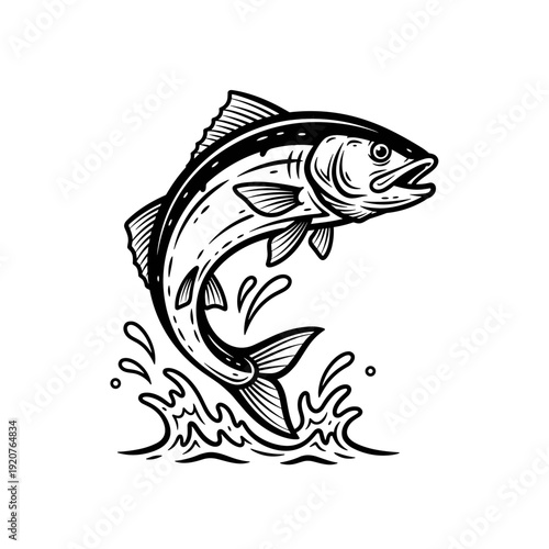 Jumping Fish Illustration in Black and White.