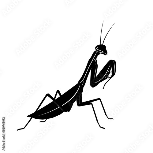 Silhouette of a praying mantis insect in black and white on white background.