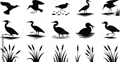 Water bird silhouette set with reeds and cattails, wild duck and heron vector illustration isolated on white background