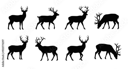 Deer Silhouette Vector Collection