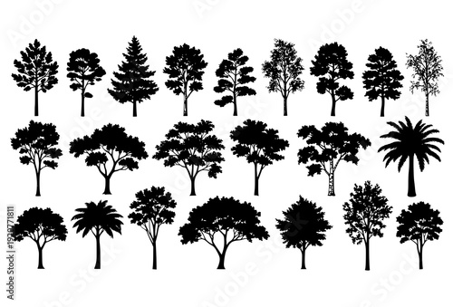 Black Forest Tree Silhouette Vector Set with Pine Oak Palm and Bare Trees Isolated on White Background