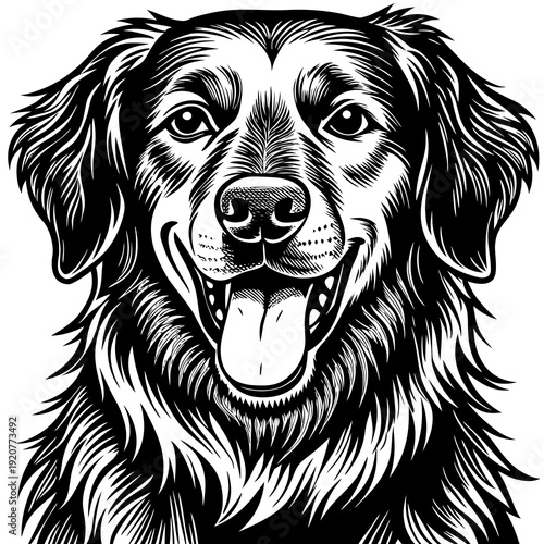Golden retriever dog with a friendly face and happy expression in black and white illustration style with long fur and big eyes Generative AI