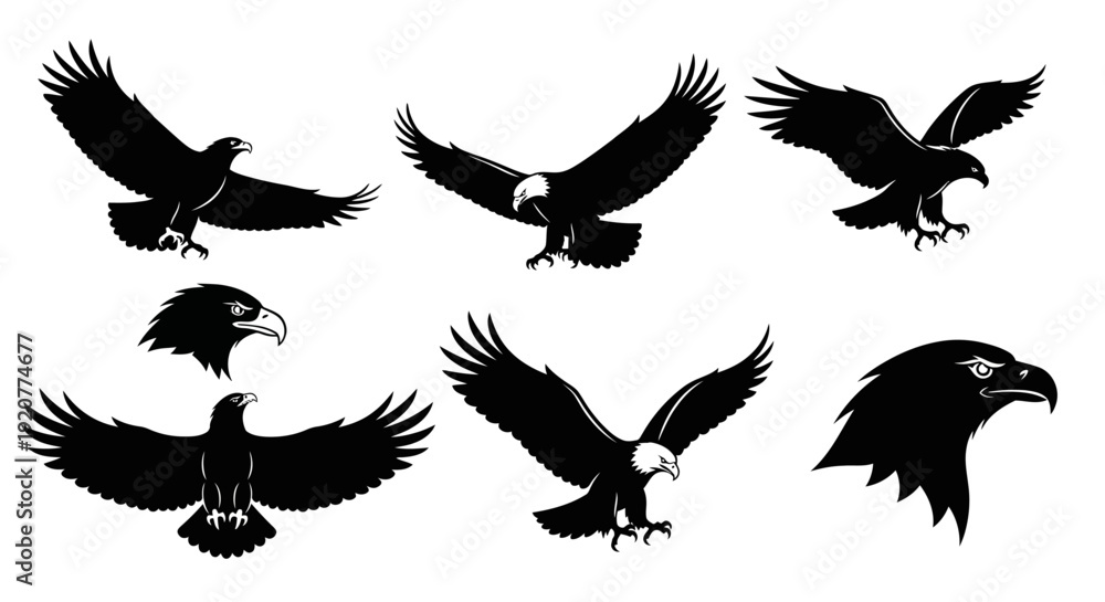 Obraz premium Eagle Silhouette Vector Collection