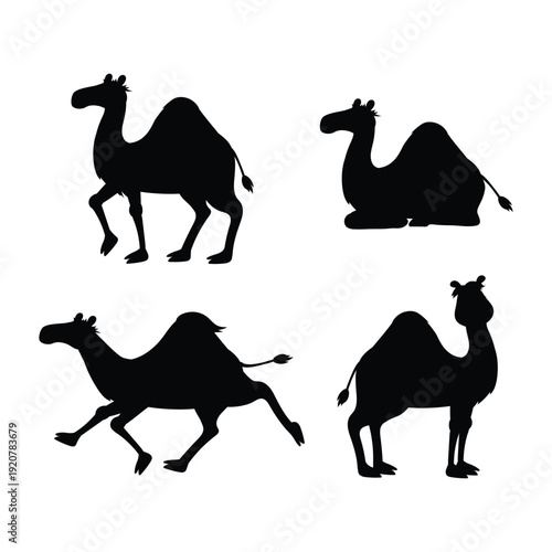 camels silhouettes vector