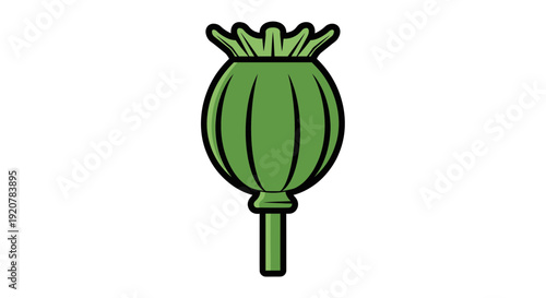 Vibrant green poppy seed pod illustration, a charming botanical graphic for natural designs and healthy eating concepts