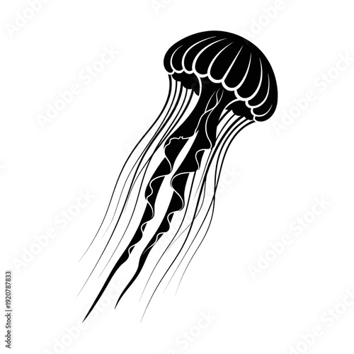 Black and White Illustration of Jellyfish.
